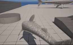 Haj skapad av studerande på Procedural Artist utbildningen